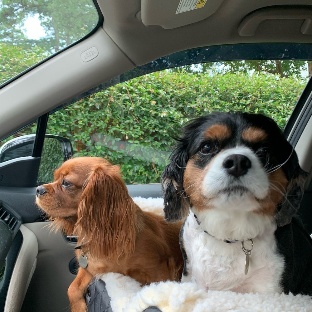 Meet your Posher, Gary